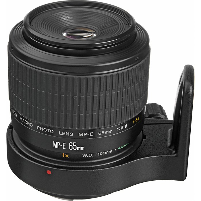 Image of a Canon EF MP-E 65mm f/2.8 1-5x Macro lens