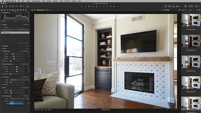 Screenshot of Capture One spot removal tool