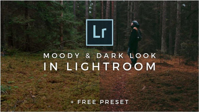 25 Best Lightroom Portrait Presets in 2023  Updated  - 60