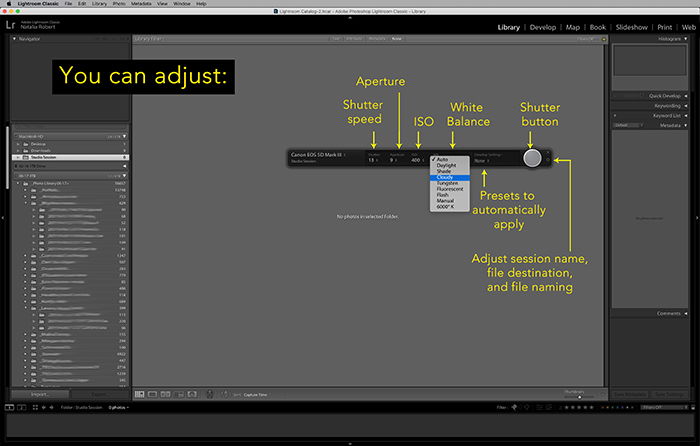 Illustrative screenshot of setting that can be adjusted remotely in Lightroom