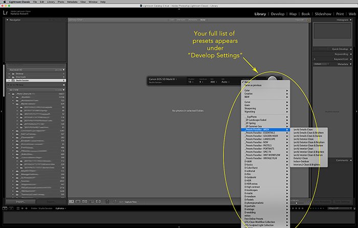 Illustrative screenshot of the options under "develop settings" tab in Lightroom