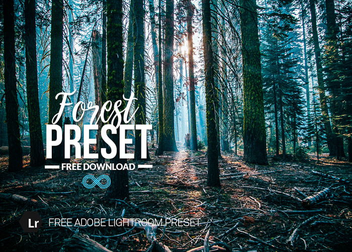 adobe lightroom presets free