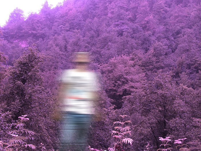 Motion blur photo of a man in front of purple trees