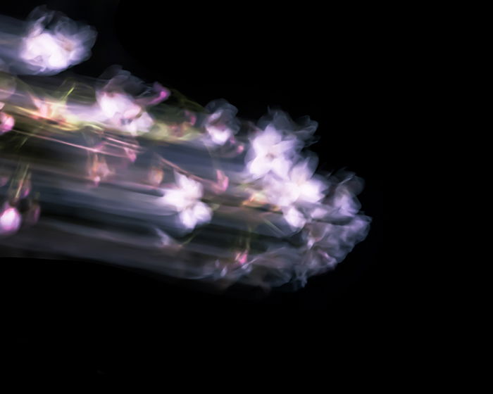 Abstract motion blur photo