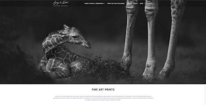 Photo of a small giraffe by Gred Du Toit