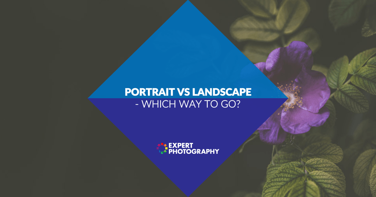 portrait vs landscape more text space