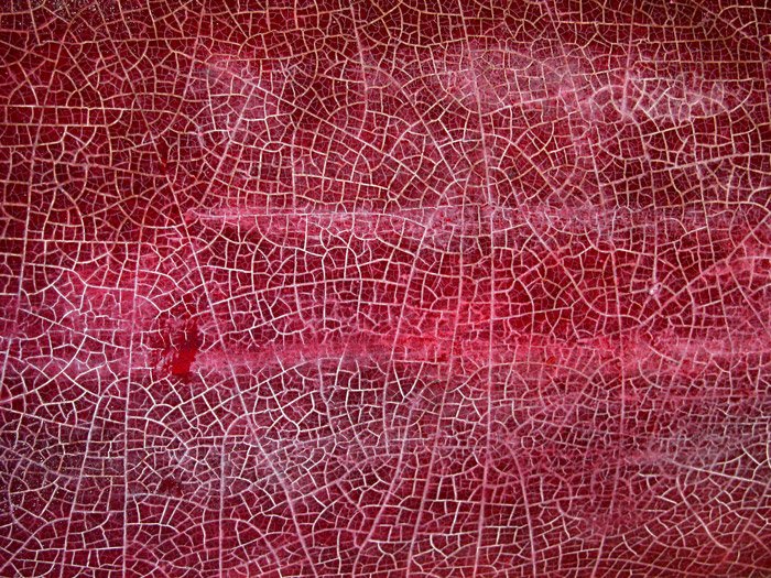 A red background with cracked white lines running through it in abstract pattern