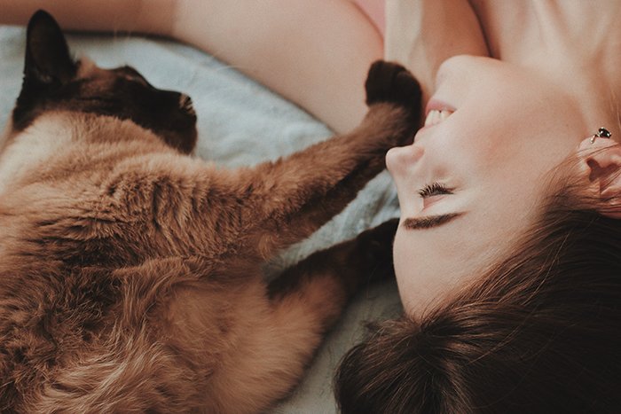 Photo of a cat and a woman indoor with natural light