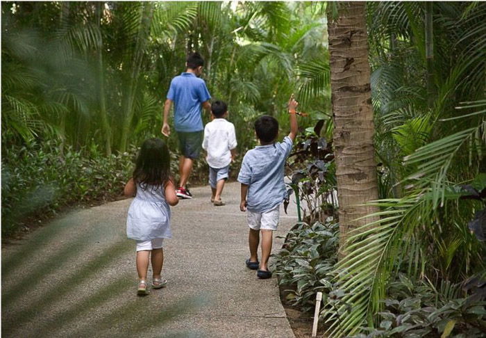 a family walking through a forest park