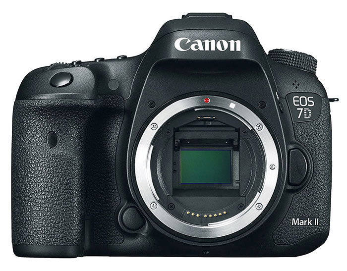 The Canon 7D camera body 