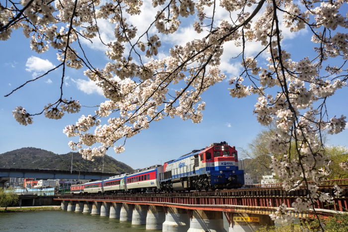 Photo of a train on a bridge on a sunny day