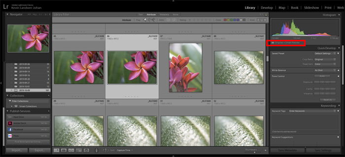 Lightroom screenshot of smart preview