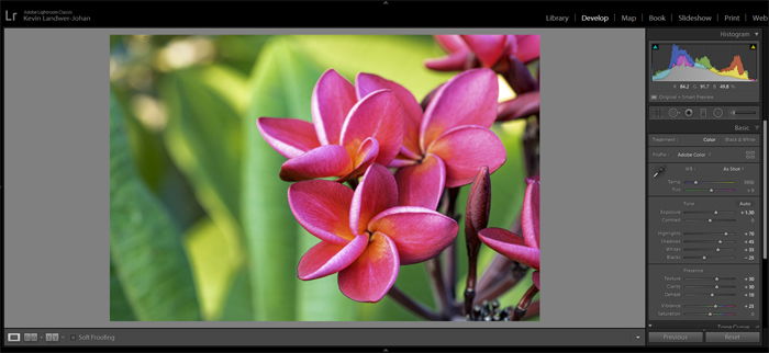 How to Use Lightroom Smart Previews to Speed Up Your Workflow - 20