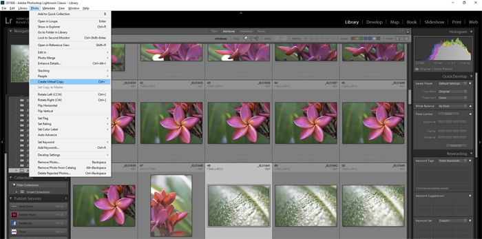 Lightroom screenshot of virtual copy