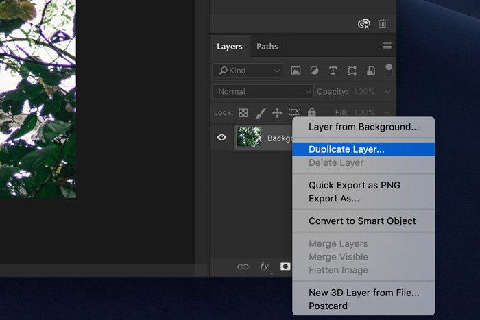 a screenshot showing how to duplicate a layer in photoshop