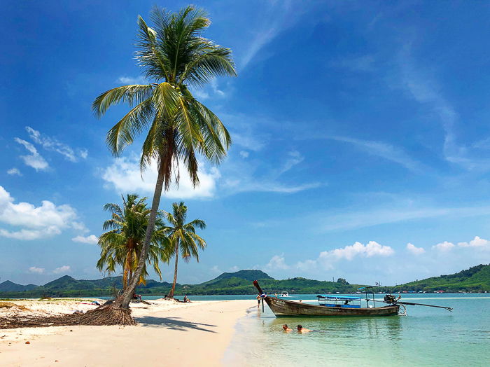 a tropical beach scene