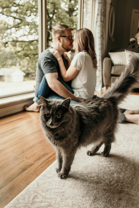 A fluffy grey cat in front of a kissing couple