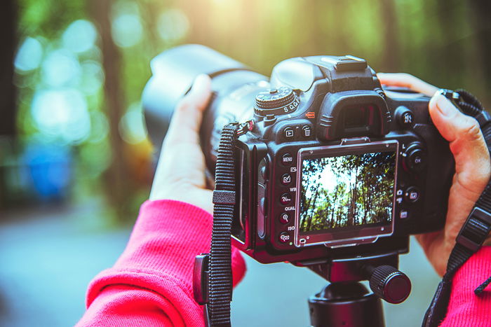 a landscape image being shot through a digital camera