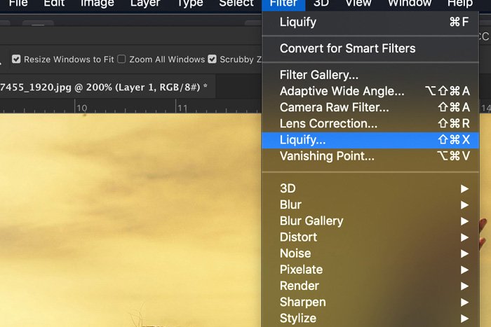 Screenshot of liquify in Photoshop
