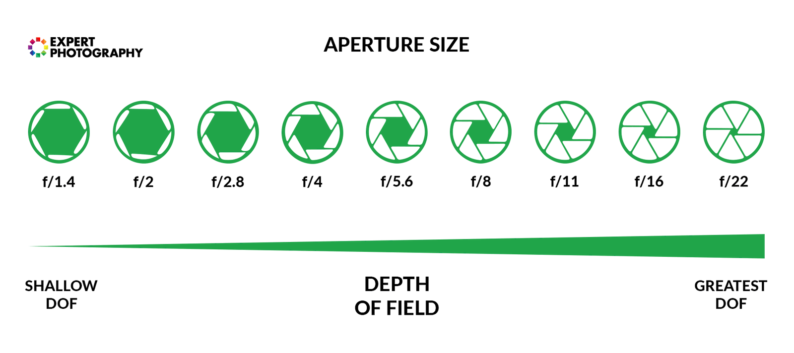 How Does a Camera Work   Photography Basics Explained  - 59