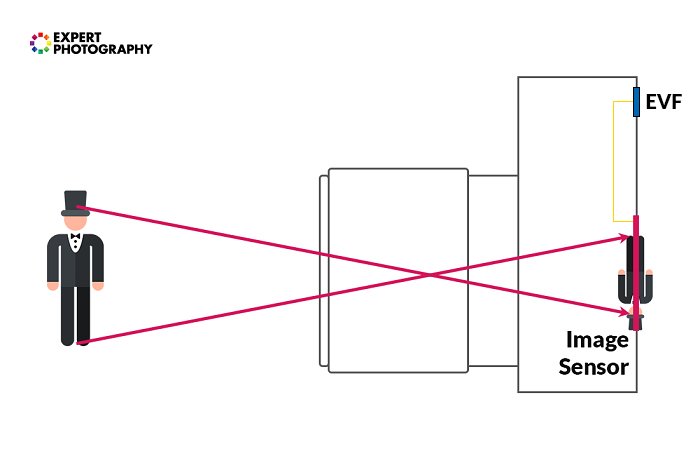 Diagram showing how the image sensor in a mirrorless camera works