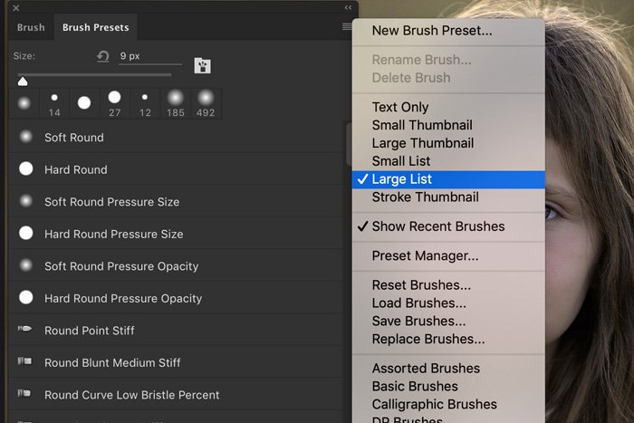 Screenshot of Lightroom brush presets