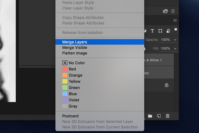 Screenshot of Lightroom merge layers