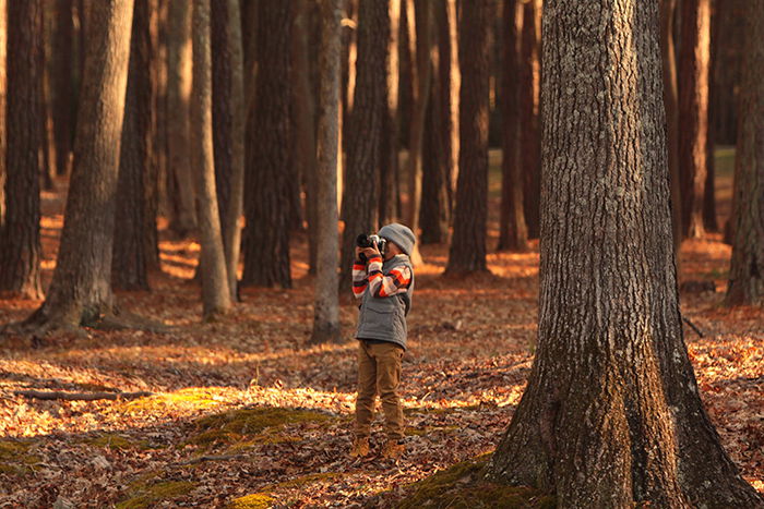 Photo of a little girl taking photos in the woods