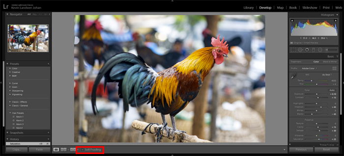 a screenshot showing how to use Lightroom Soft Proofing