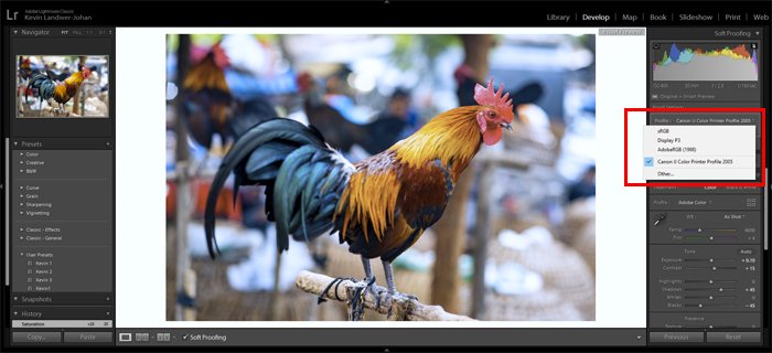 a screenshot showing how to use Lightroom Soft Proofing