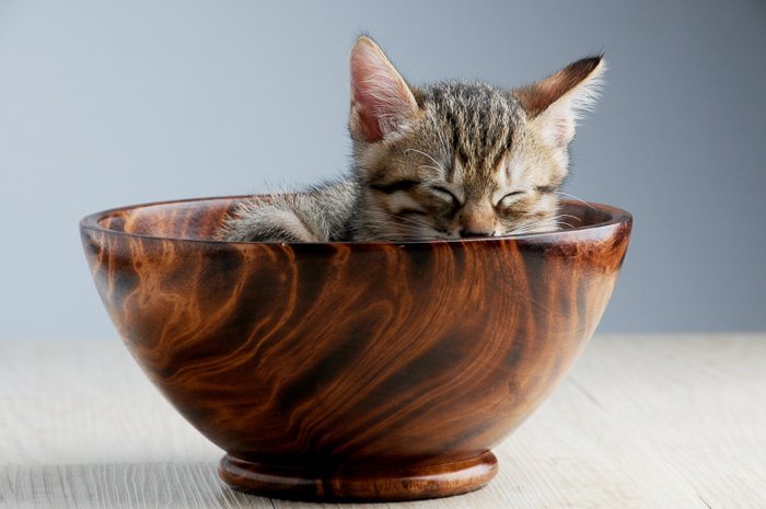 a cute kitten asleep in a wooden bowl