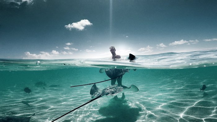 A shot of a man in the ocean surrounded by aquatic life, taken with a GoPro 