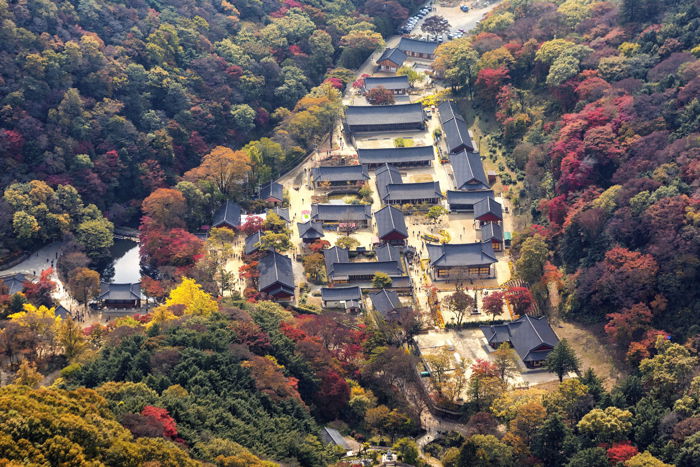 Photo of houses in the middle of a forest