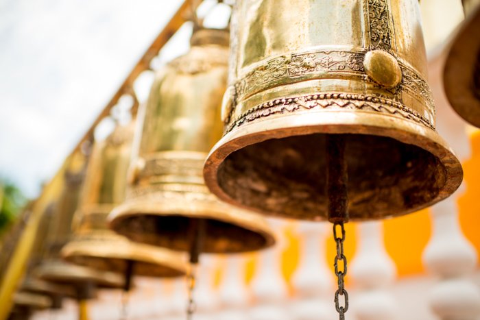 Photo of golden bells