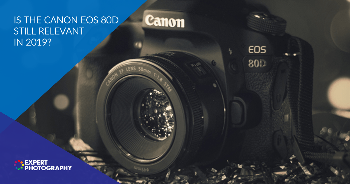 expositie audit Onzeker Canon EOS 80D Review (Is This Camera Still Relevant?) » ExpertPhotography