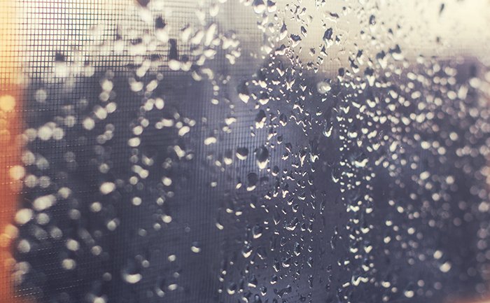 Photo of raindrops with light leaks