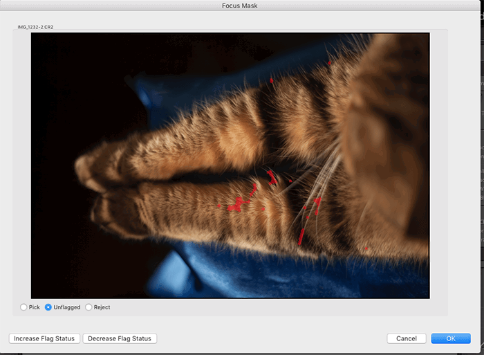 22 Best Lightroom Plugins in 2023  Updated  - 8