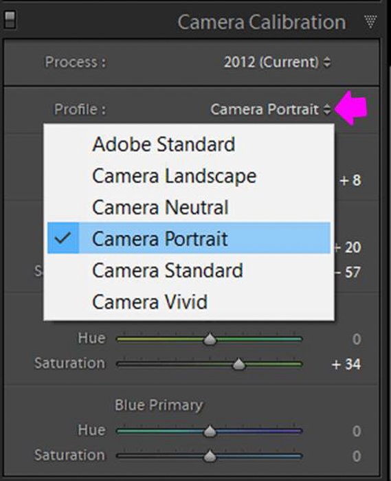 Screenshot of camera portrait option