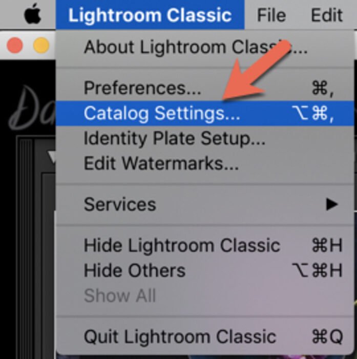 Screenshot of Lightroom Catalog