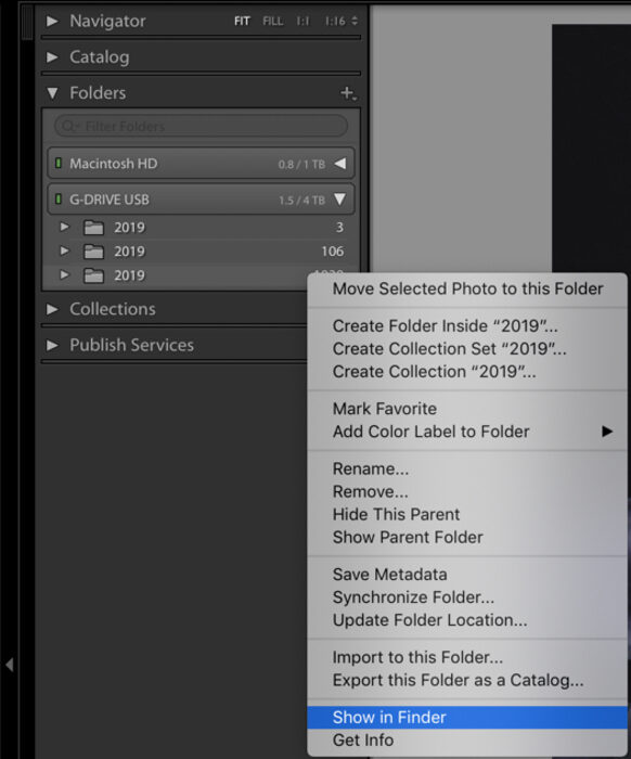 Screenshot of Lightroom Catalog