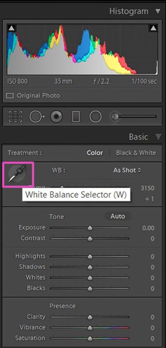 a screenshot of adjusting the white balance of a photo in Lightroom