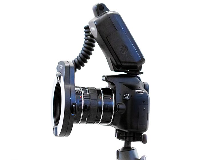 a Canon DSLR on a tripod fitted with extension tubes for macro photography