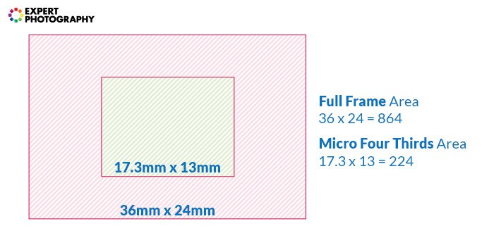 a diagram comparing full frame sensor and micro four thirds sensor 