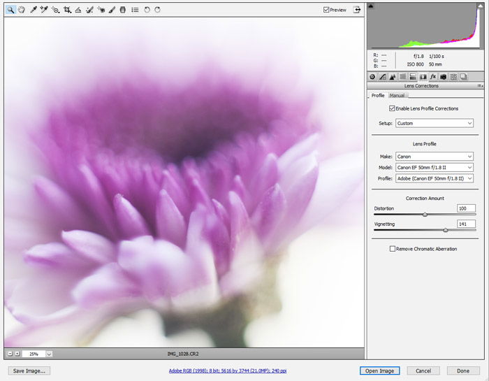 A screenshot showing how to adjust lens vignetting on a photo with Adobe Camera RAW