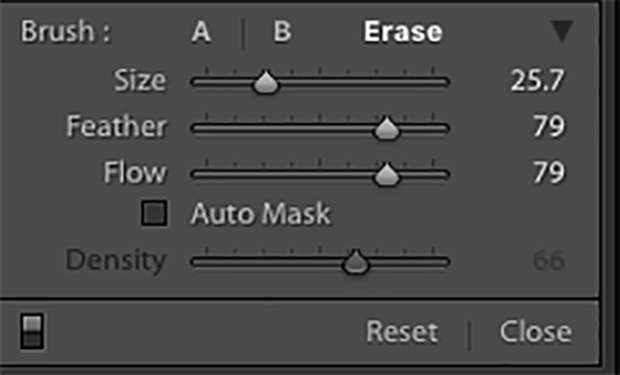 Screenshot showing how to use Lightroom's Adjustment Brush to Get Rid of Moiré Patterns