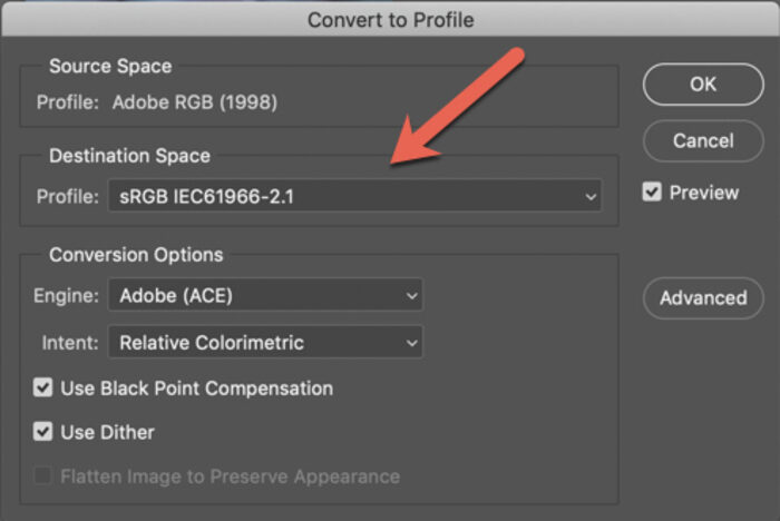 sRGB vs Adobe RGB   How to Choose The Right Color Space - 47