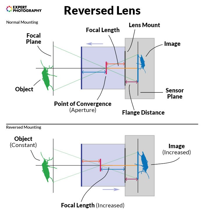 a diagram showing how a reversed lens works