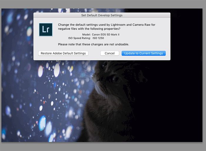 a screenshot of a Lightroom pop-up window to set default develop settings