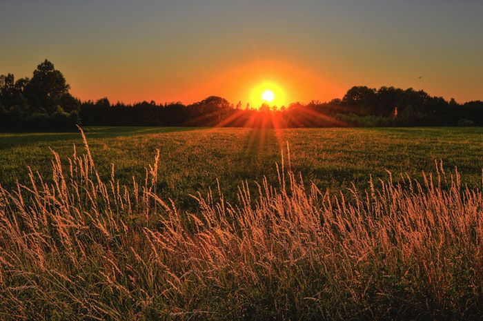 Sunset over a field 