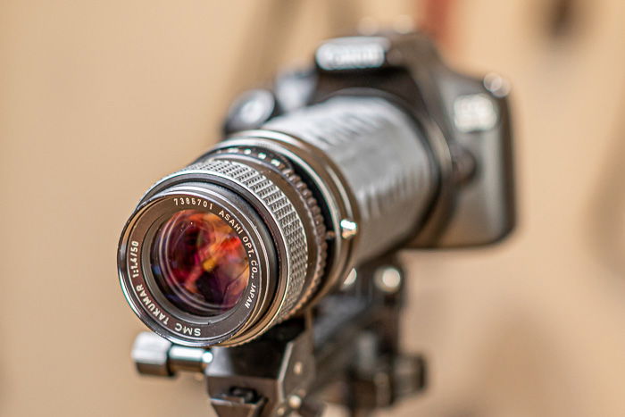 macro photography studio setup